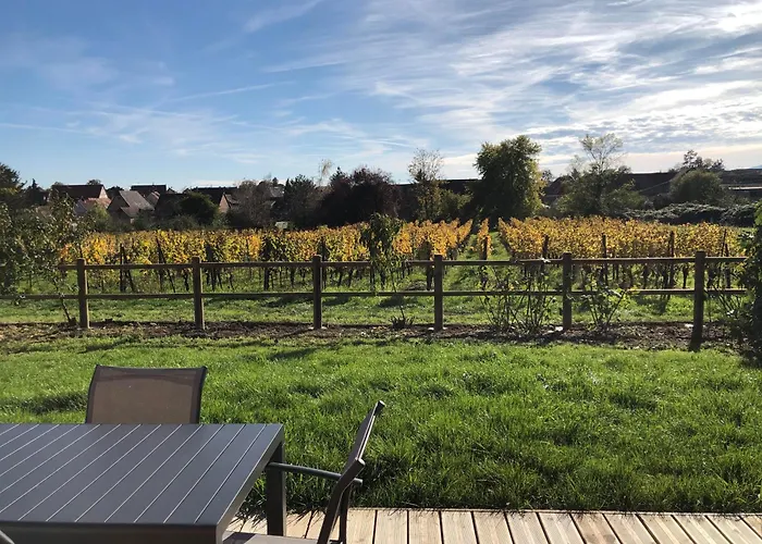 Domaine Rosfelder - Locations De Gite Et Cabane Insolite