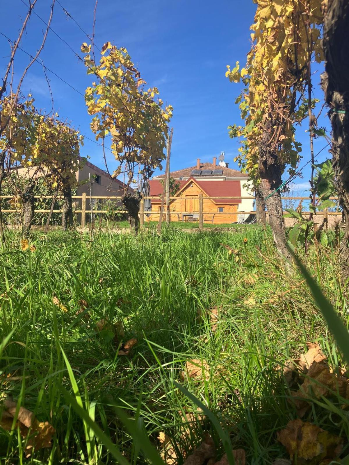 Hébergement de vacances Domaine Rosfelder - Locations De Et Insolite Gertwiller