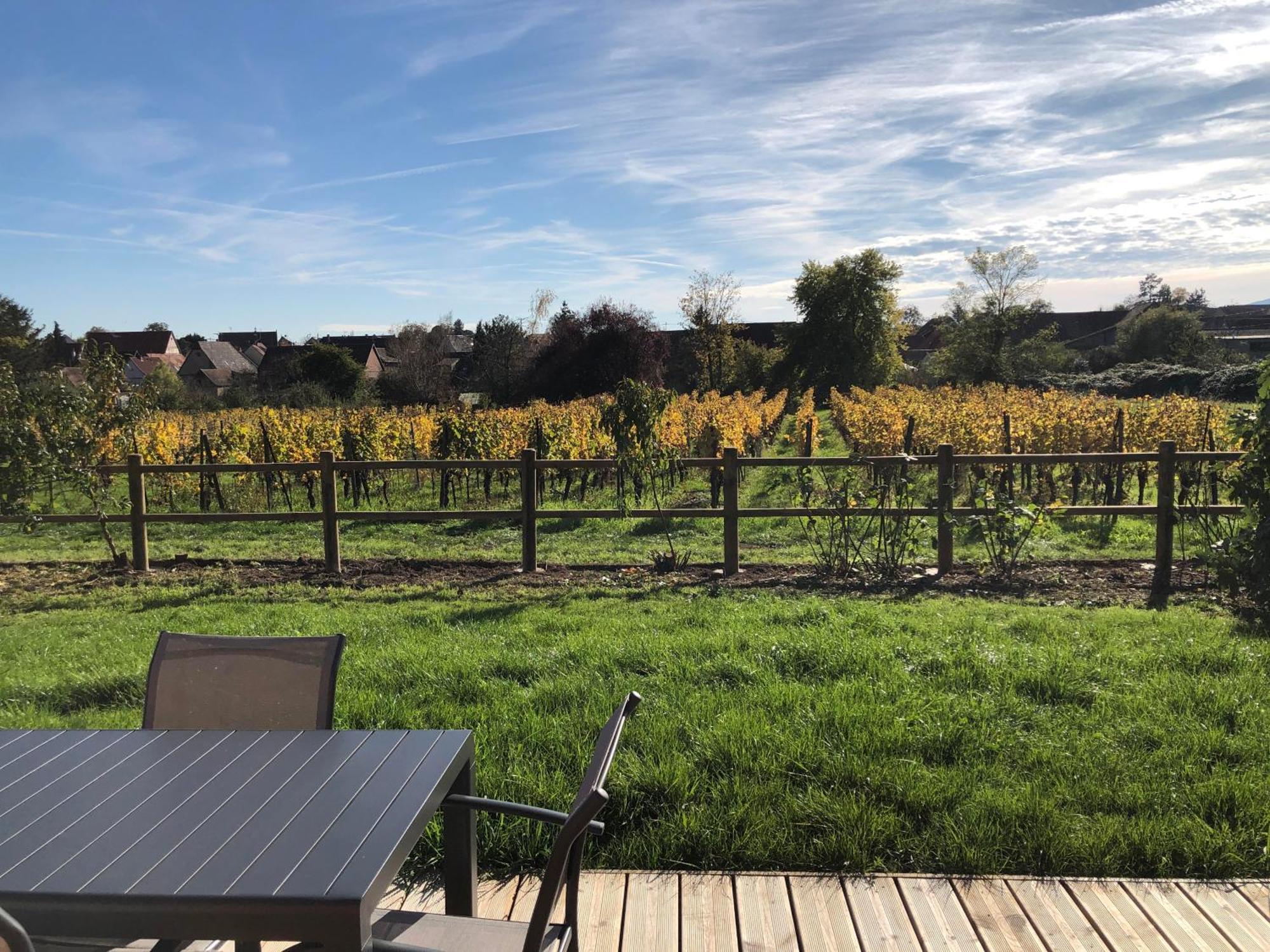 Hébergement de vacances Domaine Rosfelder - Locations De Et Insolite *