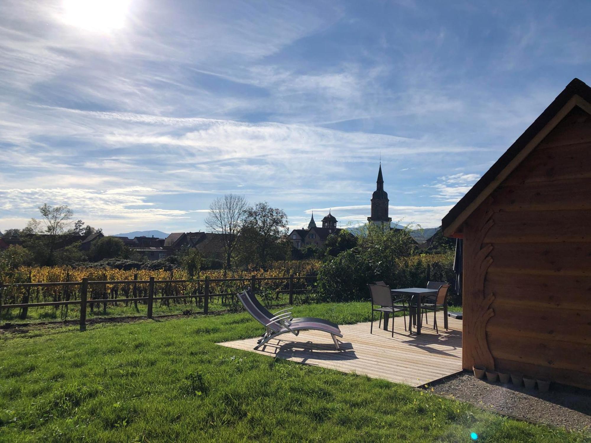 Domaine Rosfelder - Locations De Et Insolite Сasa de vacaciones Gertwiller
